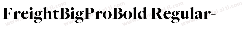 FreightBigProBold Regular字体转换